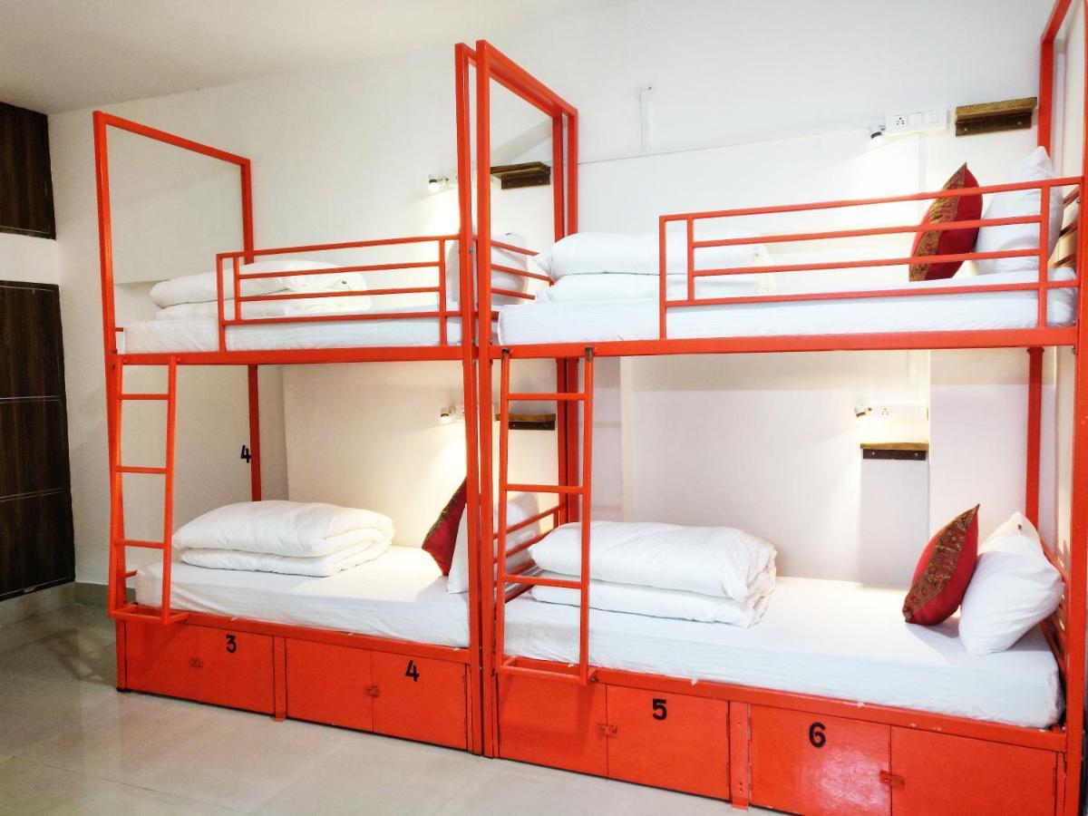 Live Free Hostel *